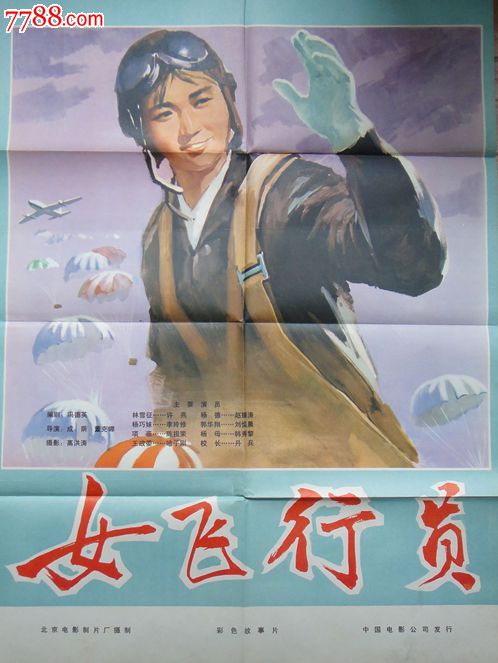 找人做仿真个人所得税证明
